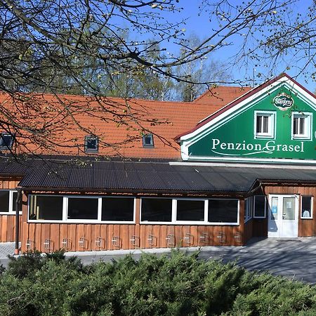 Penzion Grasel Hotel Nove Syrovice Bagian luar foto